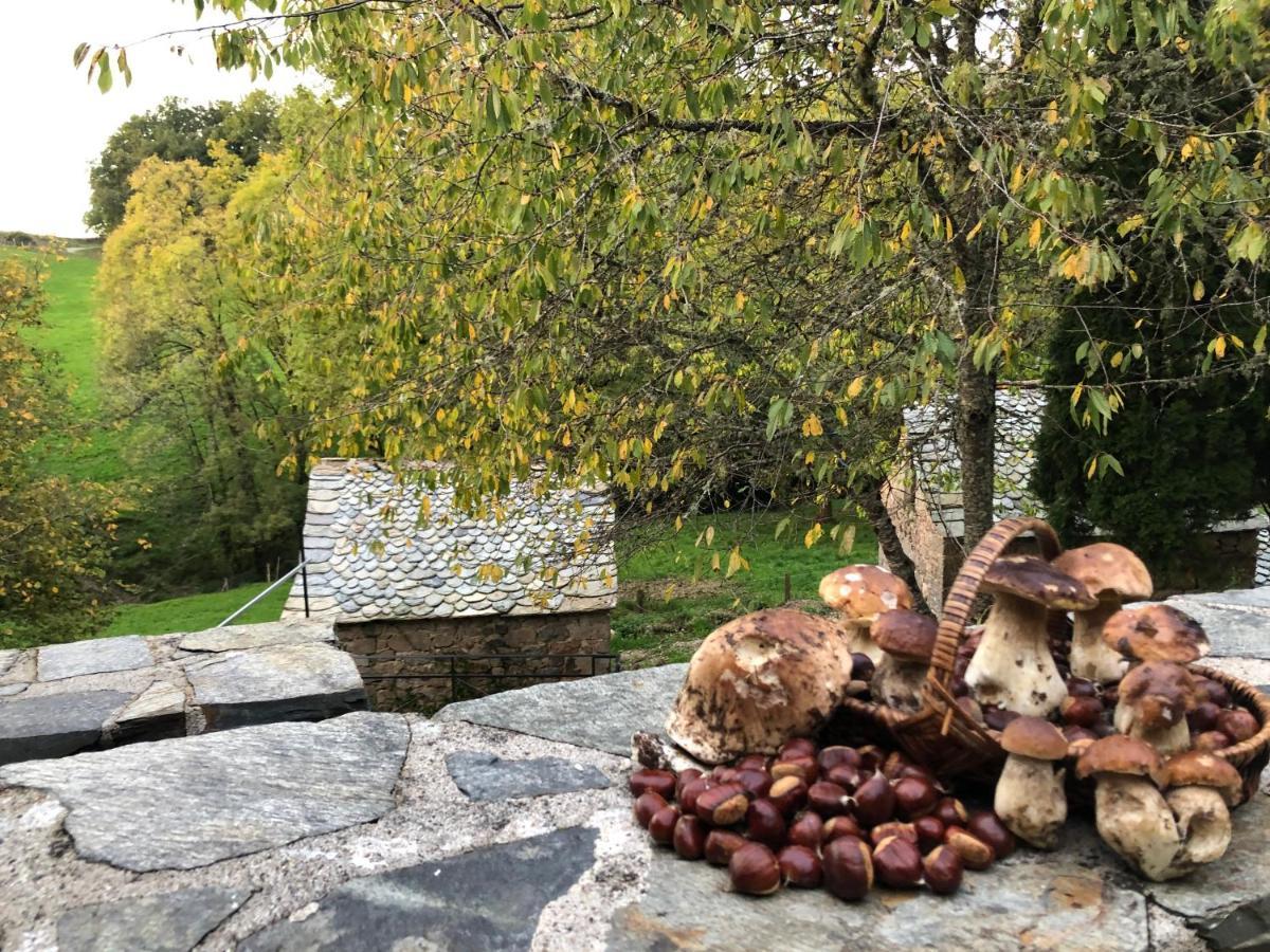 La Maison De Mon Pere Le Nayrac Zewnętrze zdjęcie